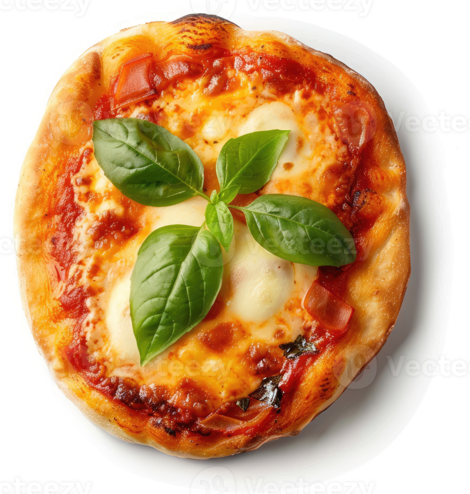 A delicious, round pizza topped with fresh basil. png