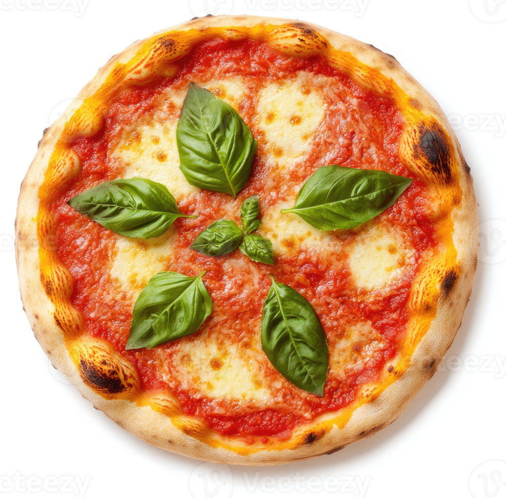 A delicious margherita pizza with fresh basil leaves. png