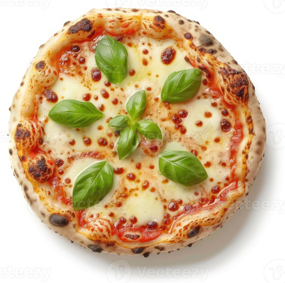 A delicious, artisanal pizza topped with fresh basil and melted mozzarella cheese. png
