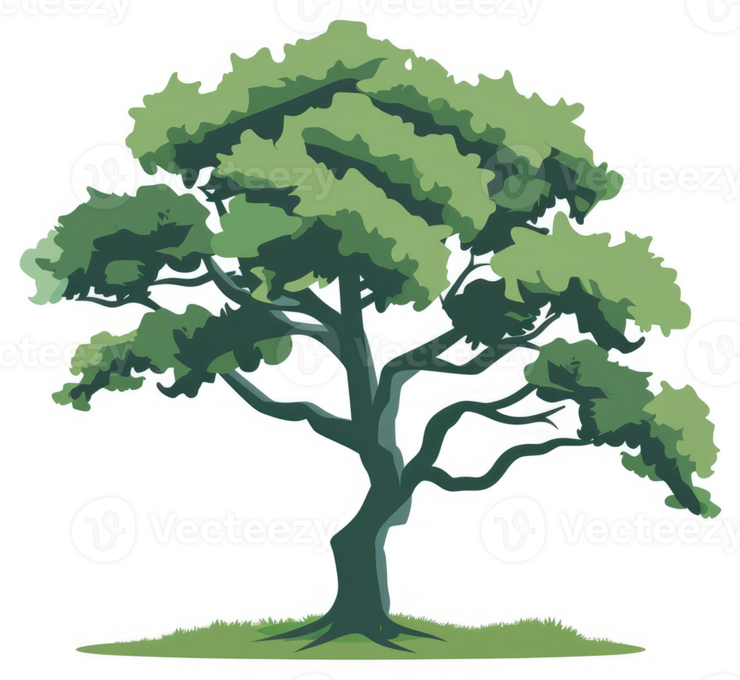 A lush, sprawling tree against a backdrop of green grass. png