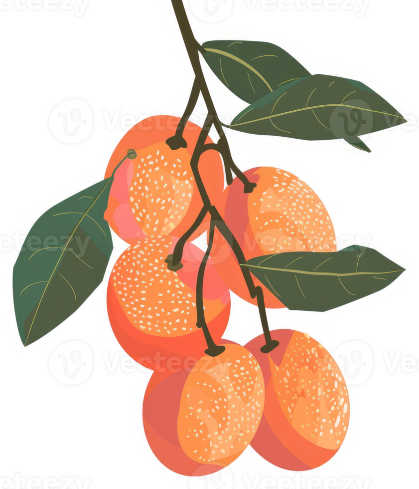 A cluster of vibrant, speckled fruits hanging from a branch. png