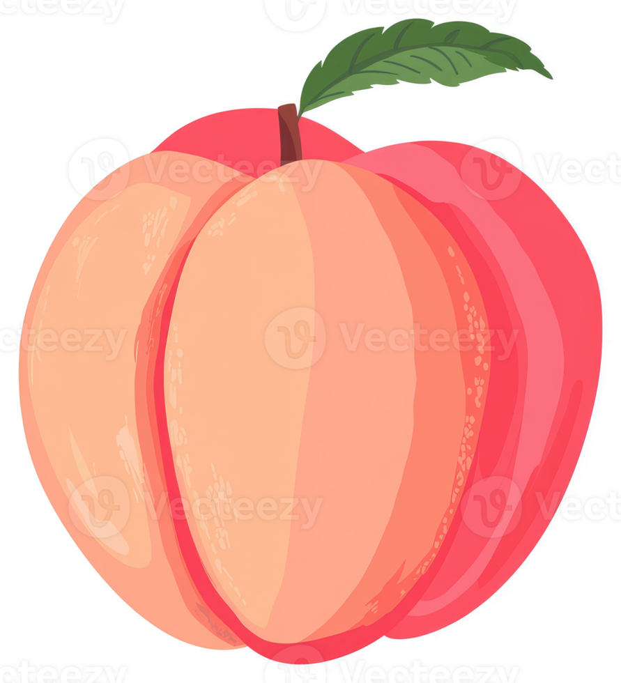 A vibrantly colored peach with a delicate leaf. png