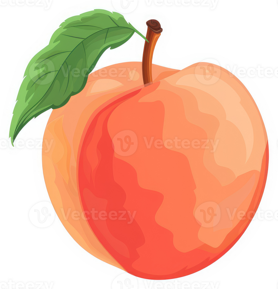 A vibrant illustration of a ripe peach with a green leaf. png