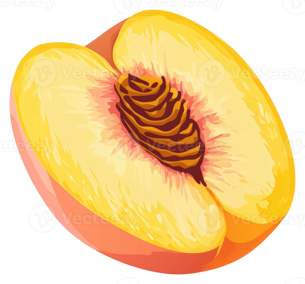 A vibrant illustration of a sliced peach, showcasing its juicy interior. png