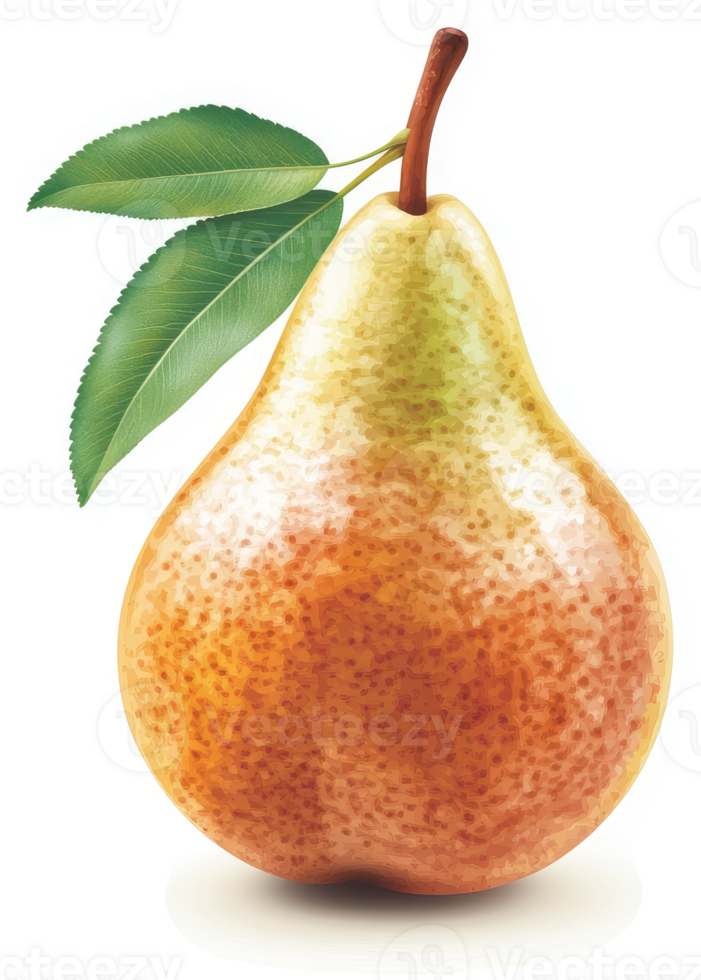 A vibrantly colored, detailed illustration of a ripe pear with leaves. png