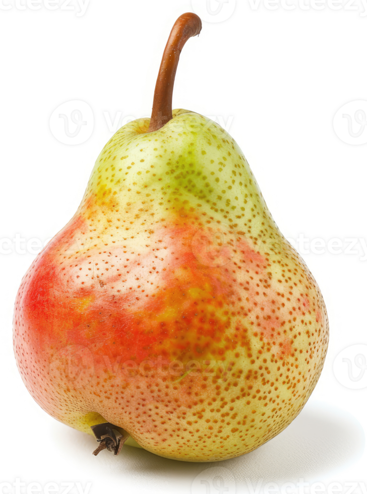 A single, vibrant pear, displaying a beautiful blend of colors. png