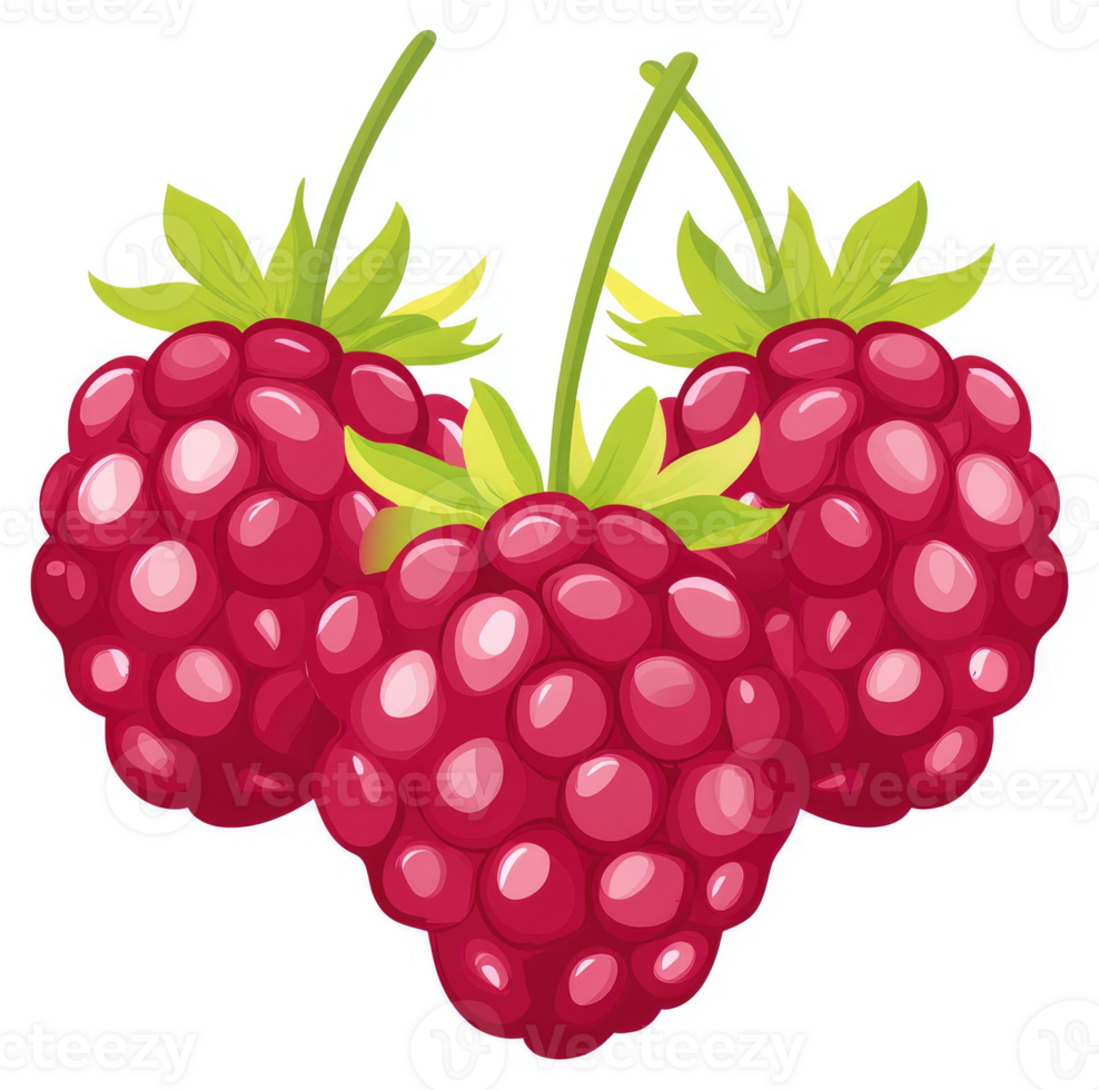 Three vibrant raspberries with green leaves on stems. png