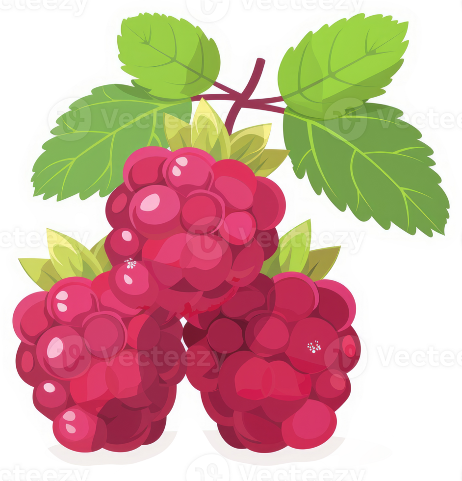A cluster of vibrant red raspberries with green leaves. png