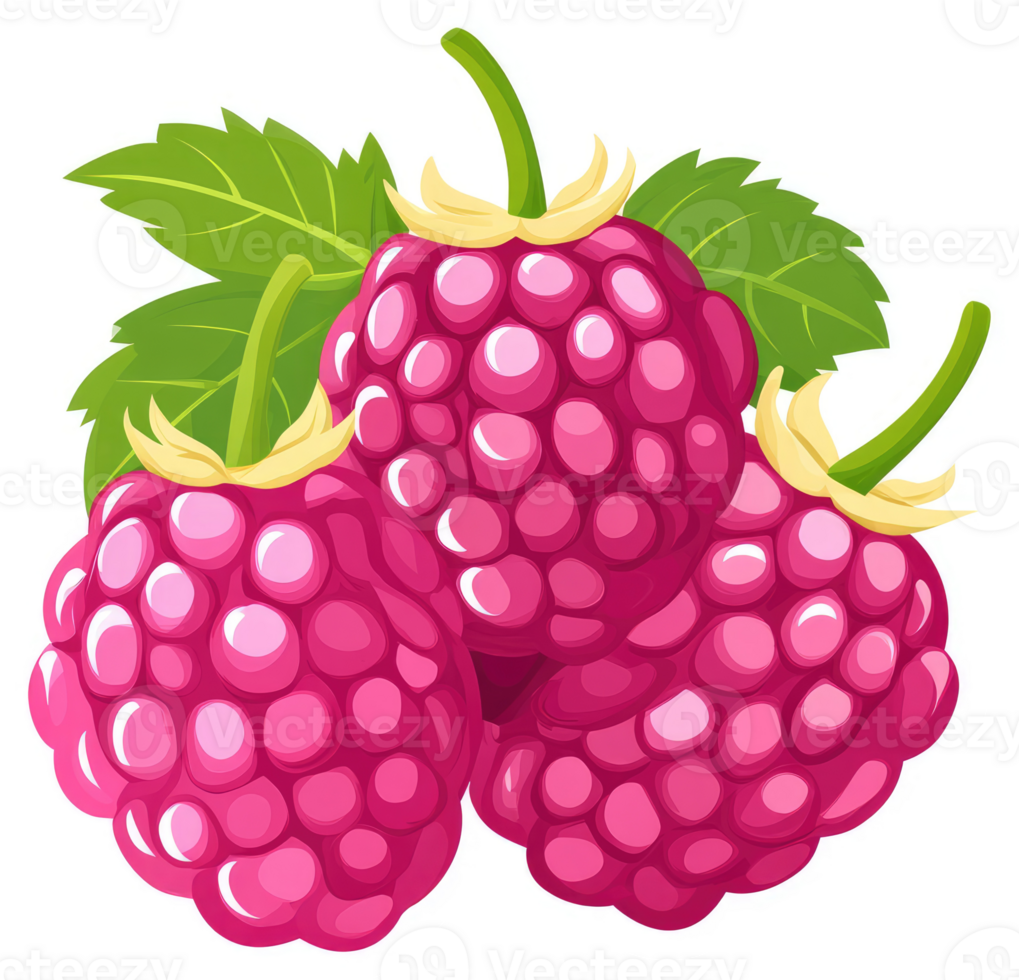 A cluster of plump, juicy raspberries with vibrant pink flesh. png