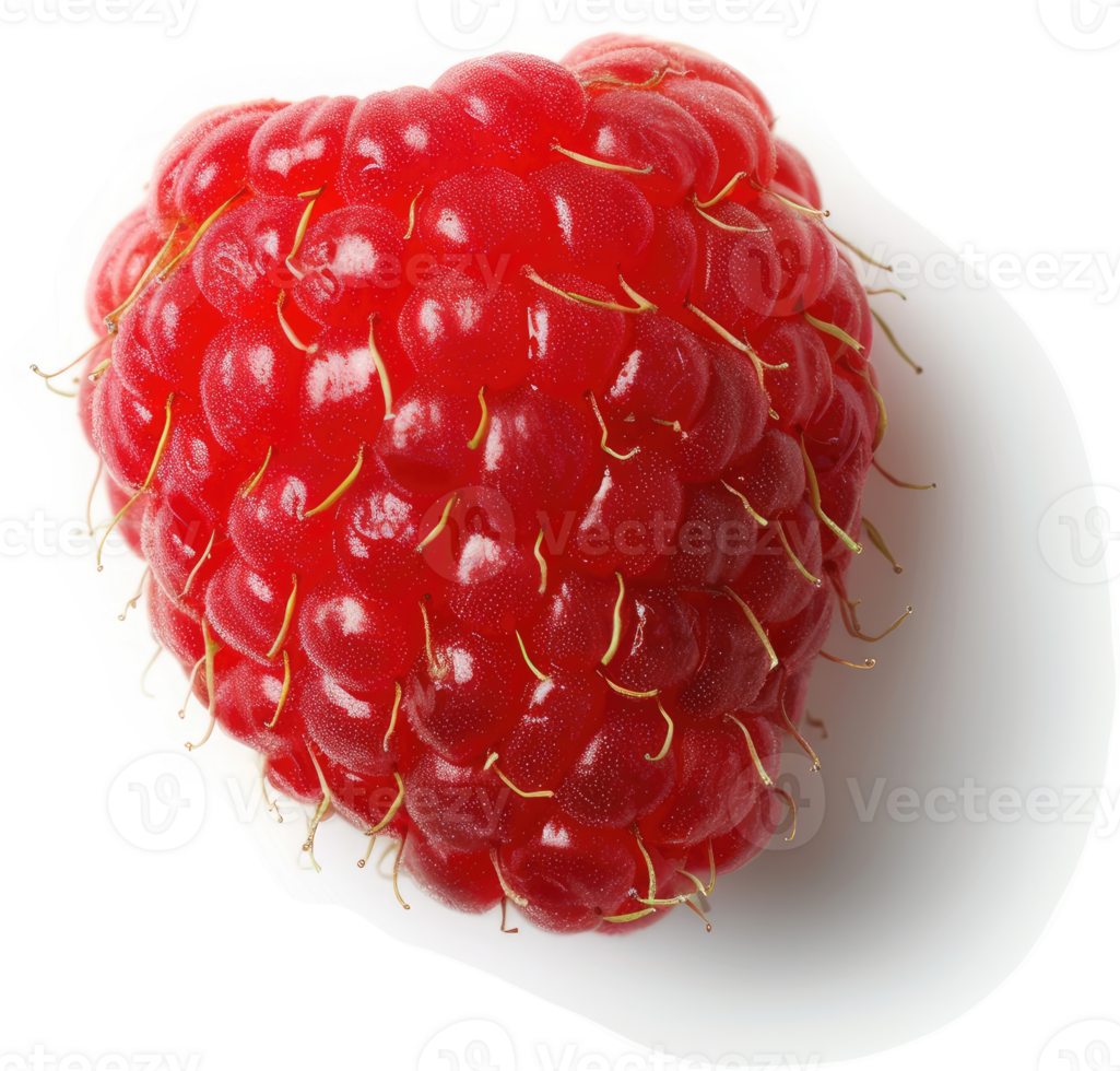 Close-up of a vibrant, juicy raspberry. png