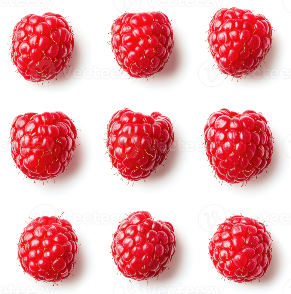 A top-down view of nine fresh raspberries. png