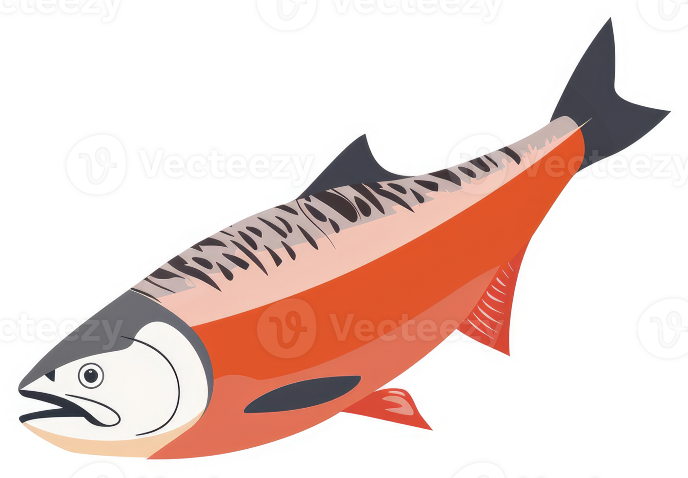 A vibrant illustration of an orange and white sockeye salmon. png