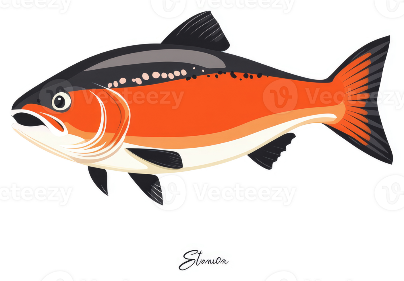 A vibrant illustration of a sockeye salmon. png