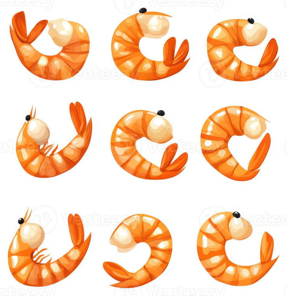 Nine illustrations of cooked shrimp in various orientations. png