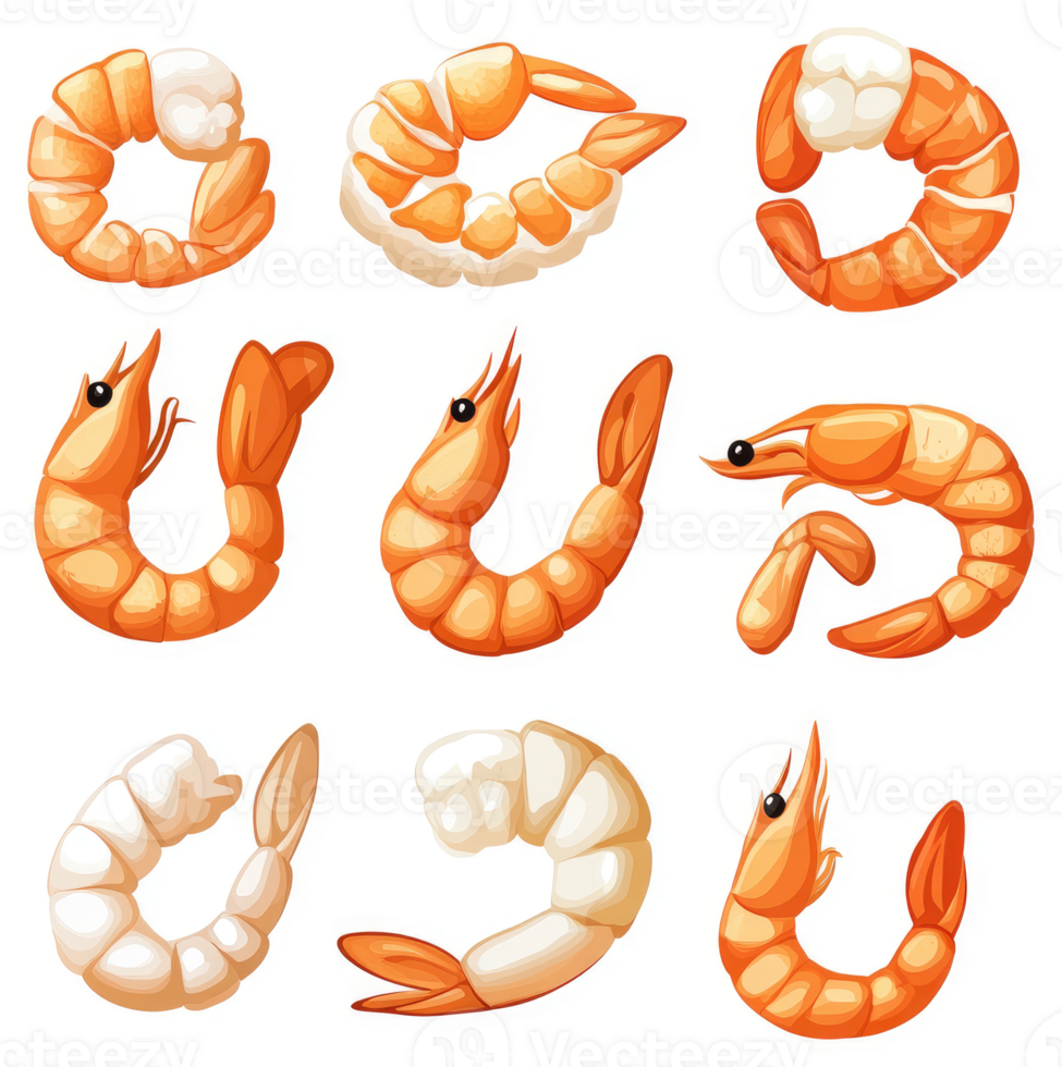 Colorful illustration of various cooked shrimp. png