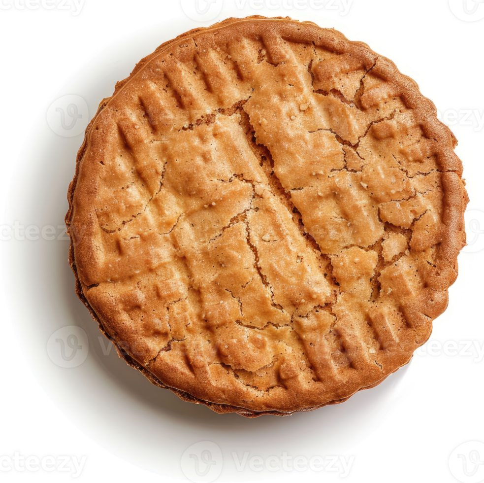 Close-up view of a round, light brown, patterned biscuit. png