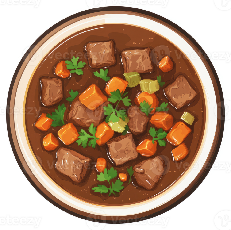 A hearty bowl of beef stew with carrots, potatoes, and herbs. png
