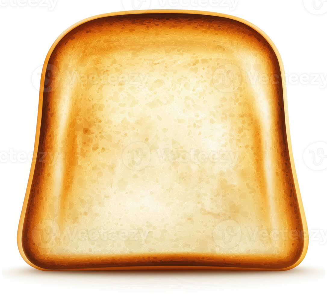 A toasted slice of bread with golden brown edges. png