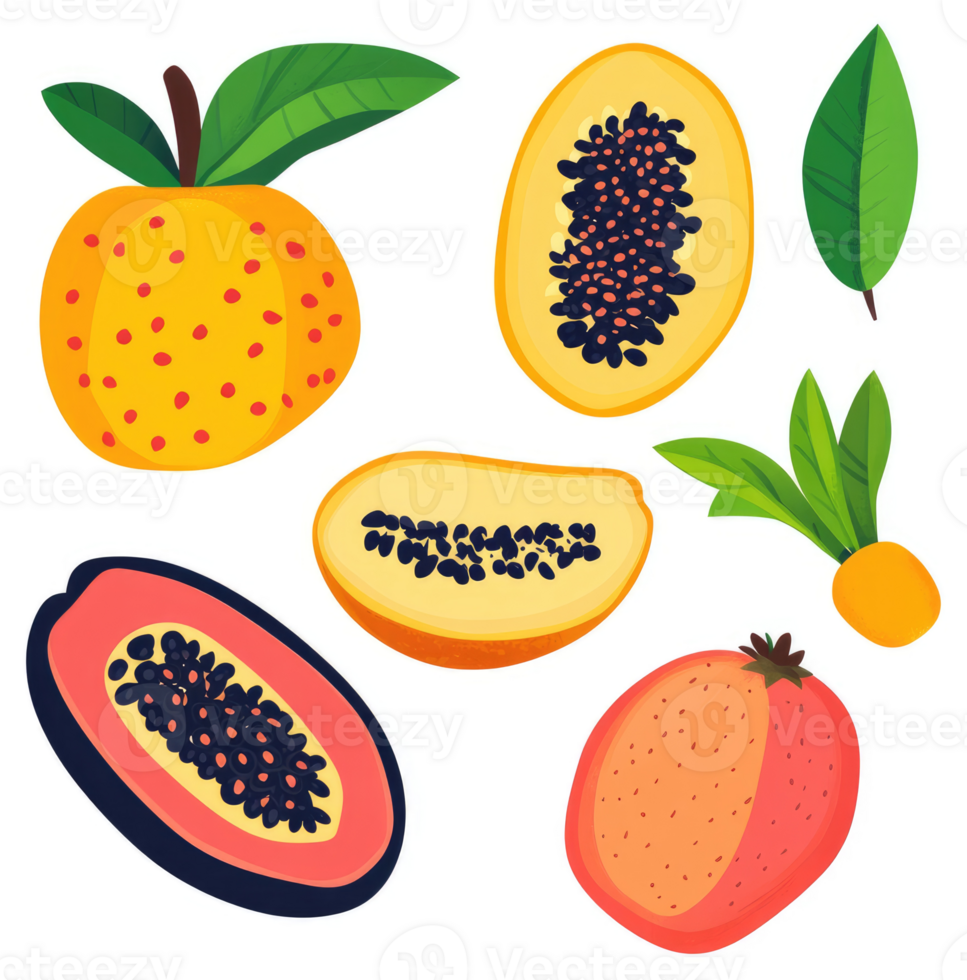 Colorful illustration of various tropical fruits, including papayas, peaches, and leaves. png