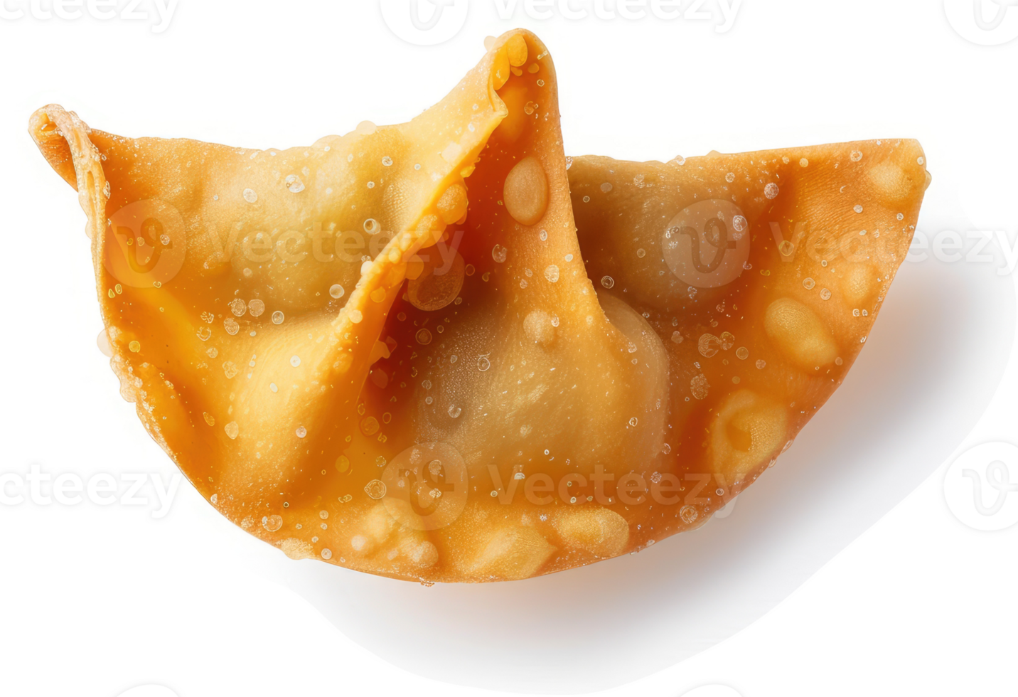 A crispy, golden-brown fried wonton. png