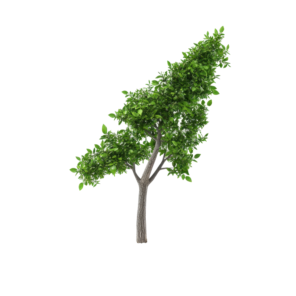 Digital illustration of a lush tree against a vibrant background. png