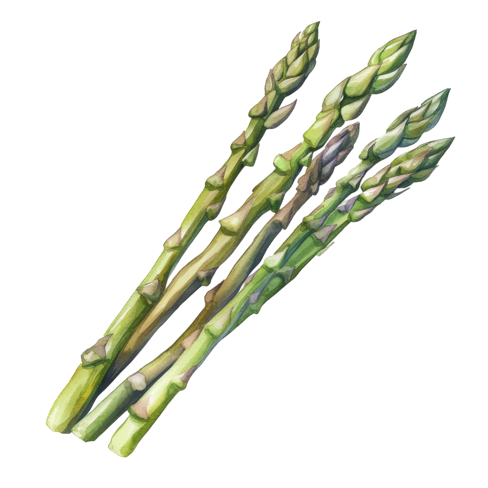 Fresh asparagus spears arranged diagonally on a blue surface. png