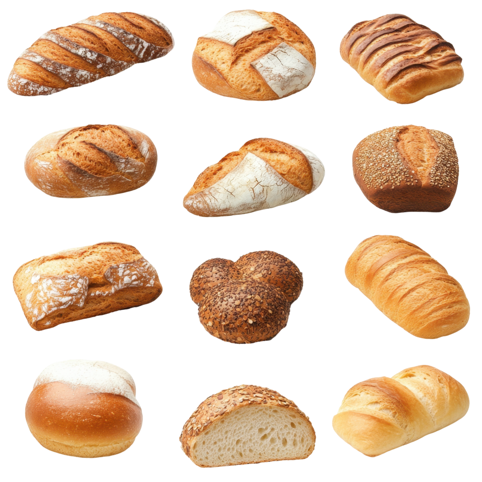 Various loaves of artisanal breads displayed on shelves. png