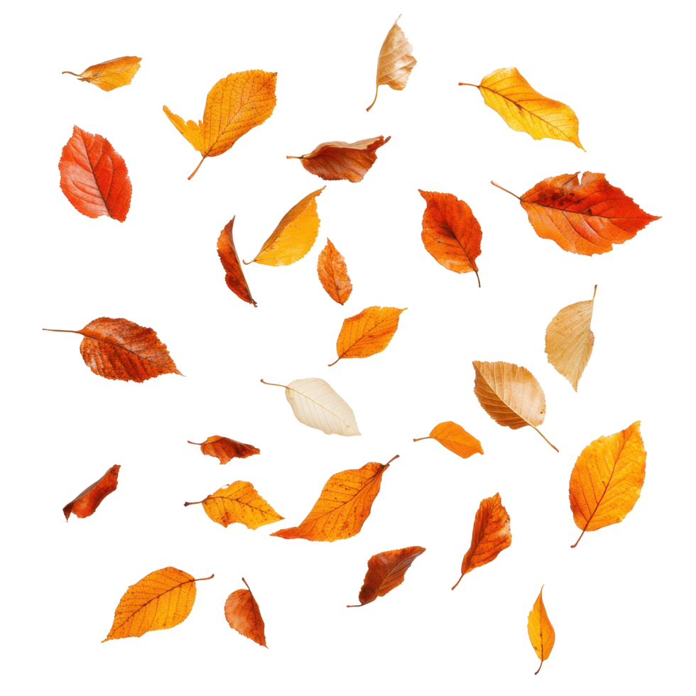 Autumnal leaves in abstract geometric patterns. png