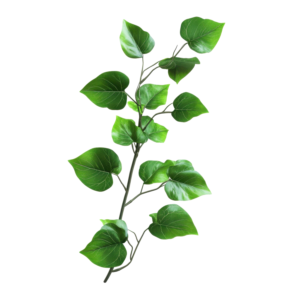 Vibrant green foliage branch with vibrant abstract background. png