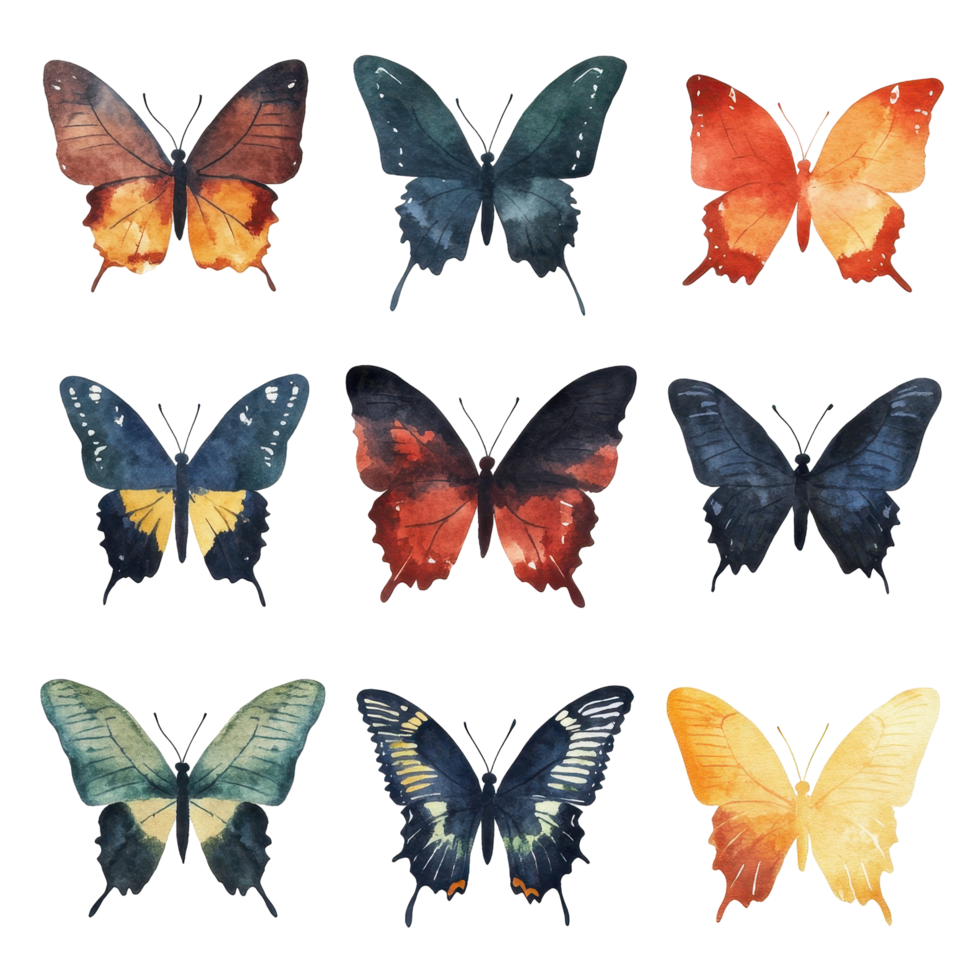 A collection of digitally altered butterfly wings, showcasing a vibrant array of colors. png