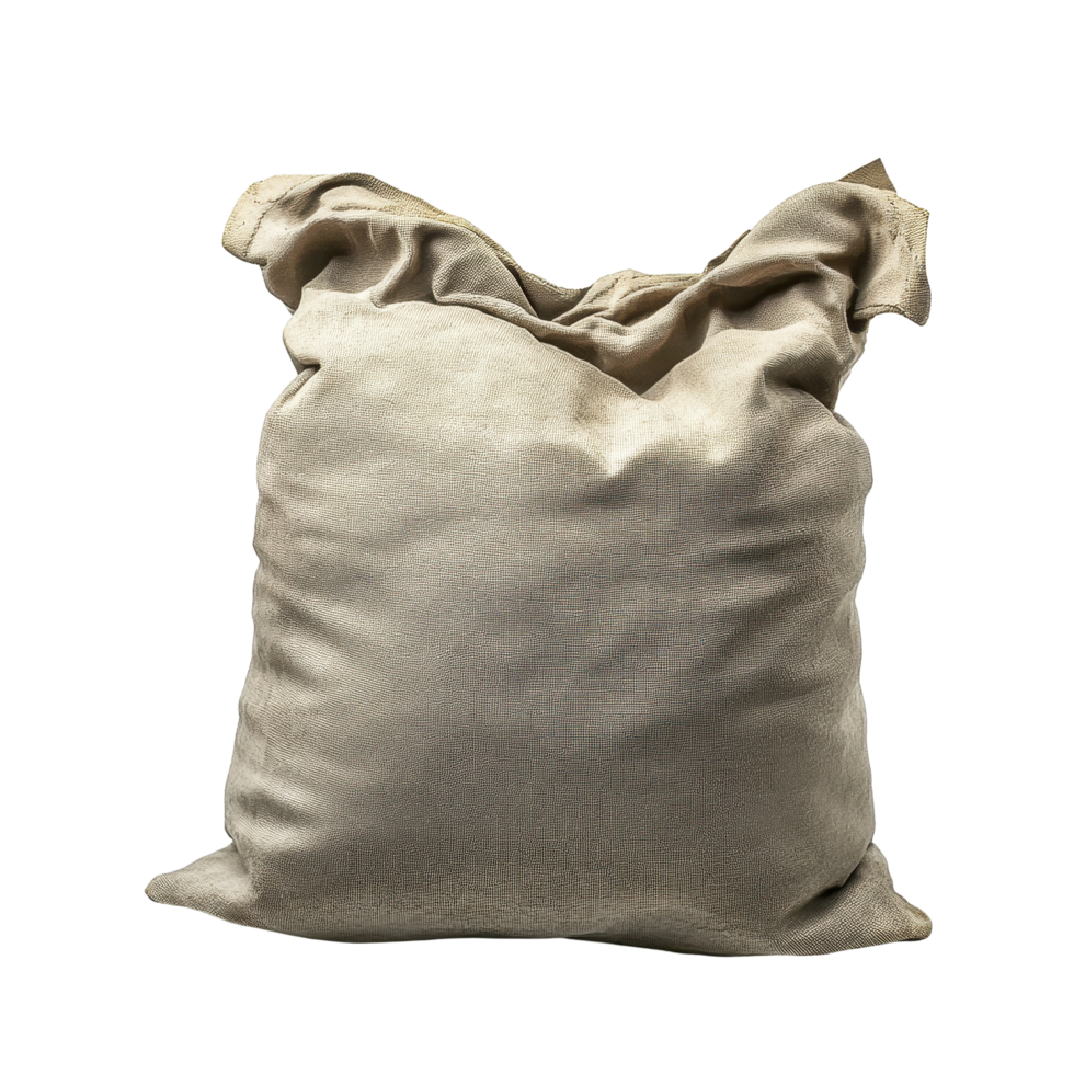 A simple, neutral-toned fabric sack pillow. png
