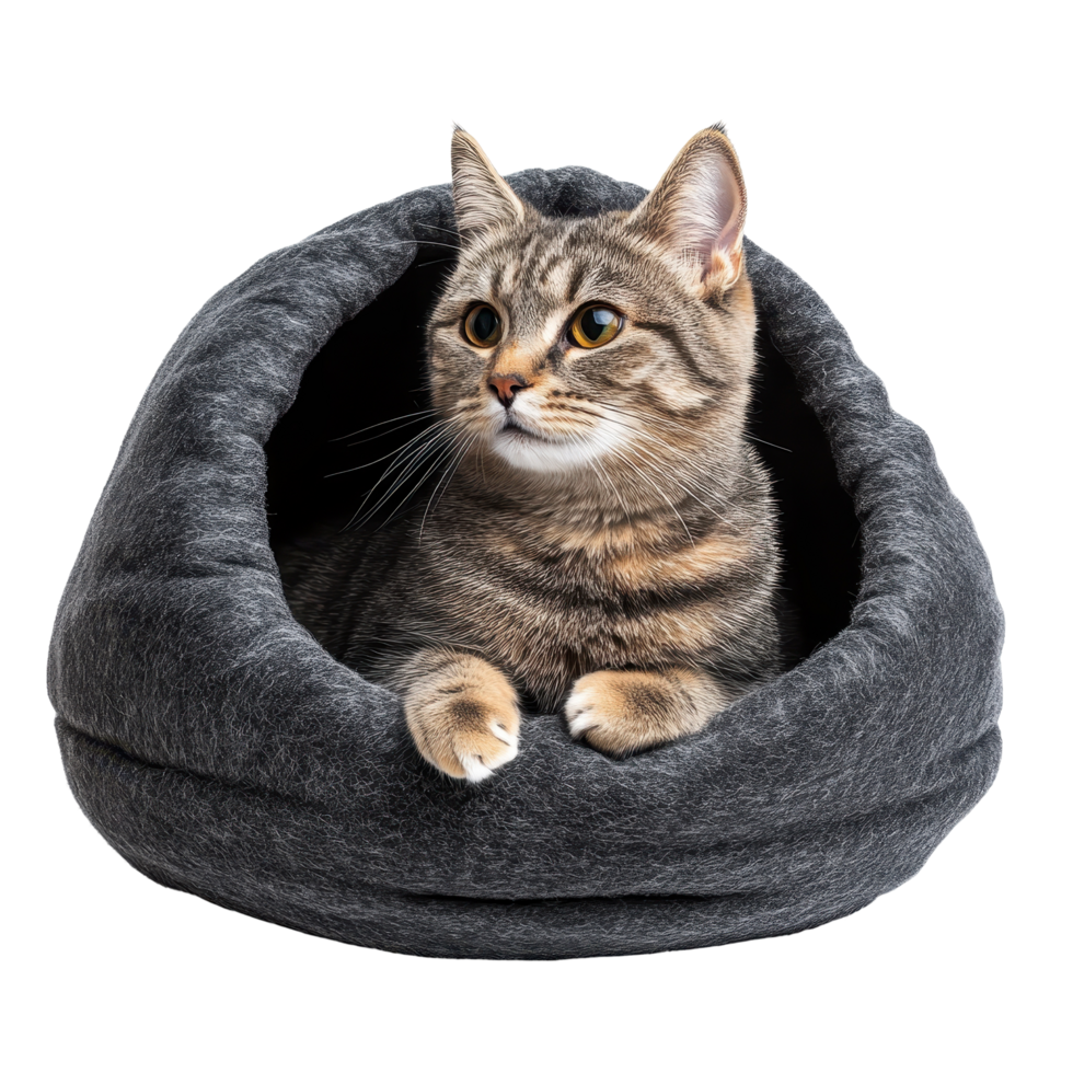 Gray hooded cat bed provides a cozy den for a tabby feline. png