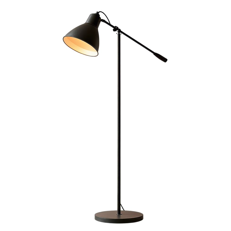 A modern, adjustable floor lamp with a dark metal shade. png