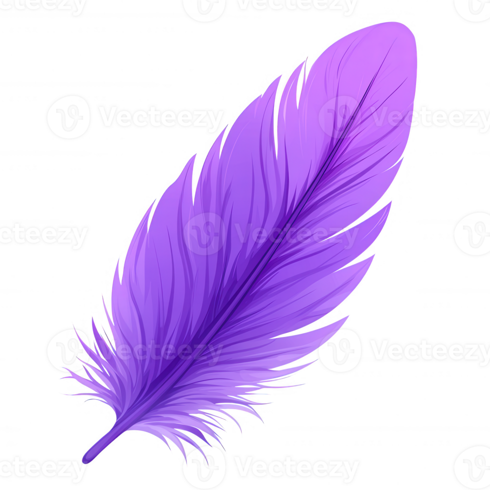 A vibrant purple feather with intricate details, showcasing its delicate texture and unique color. Perfect for backgrounds, overlays, or artistic projects. png