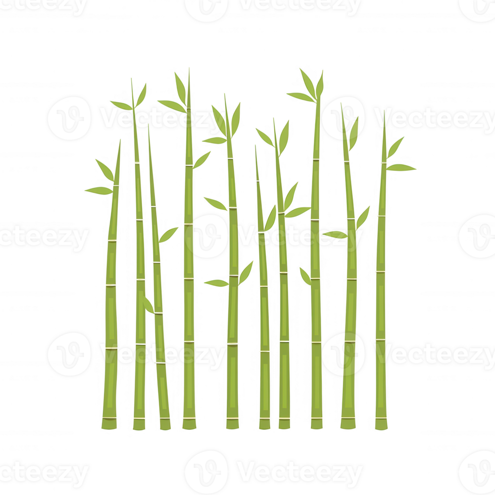 Bamboo grove with tall, slender stalks reaching upward. Vibrant green leaves on top. Ideal for nature themes and eco-friendly design. png
