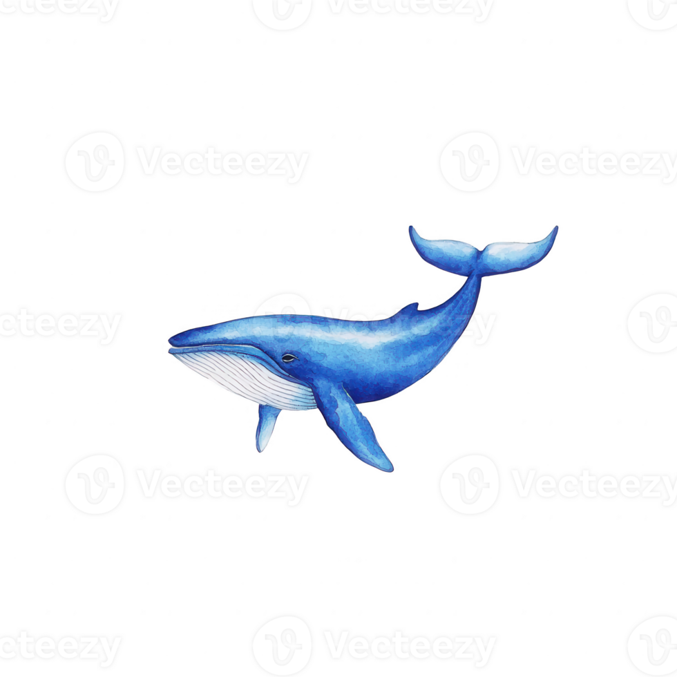 Colorful illustration of a majestic whale swimming gracefully in an ocean setting, highlighting its unique features and serene movement. png