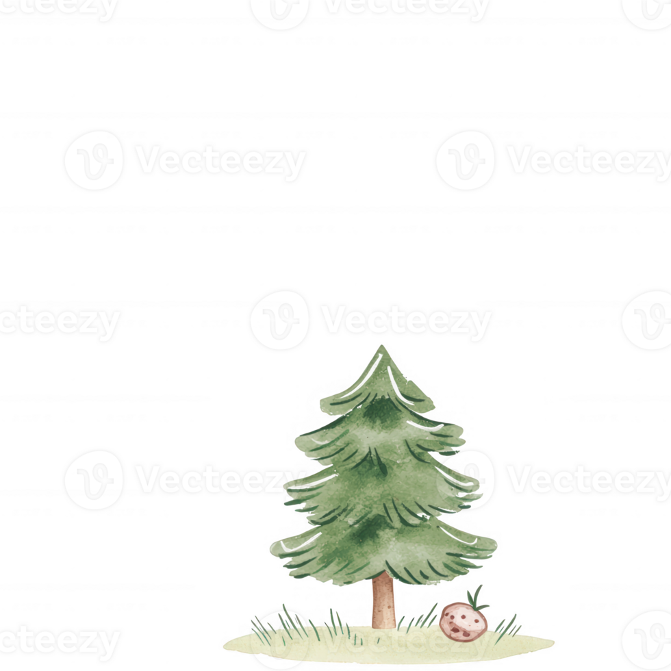 A charming illustration of a green pine tree with soft needles, accompanied by a small hedgehog resting on the grass, perfect for nature-themed designs. png