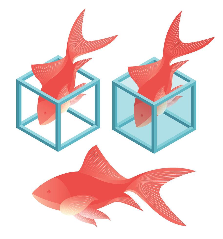 Isometric Illustration of Red Fish and Transparent Cube Containers vector