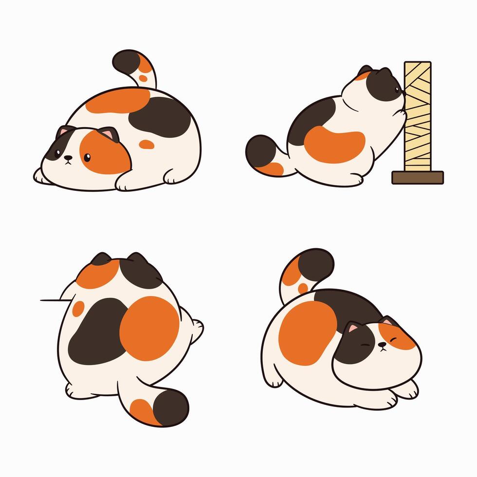 A set of four different cat poses vector