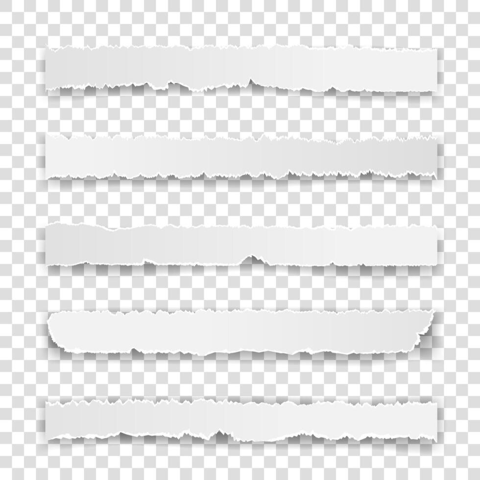 Set of torn white note vector