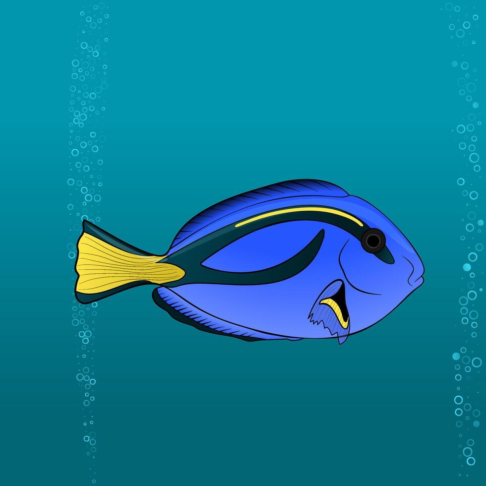 Regal Blue Tang Cartoon pic vector