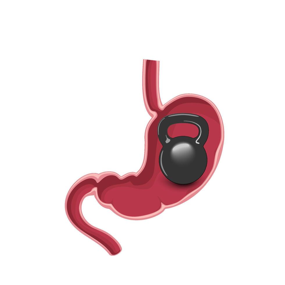 Stomach heaviness with dumbbell inside vector