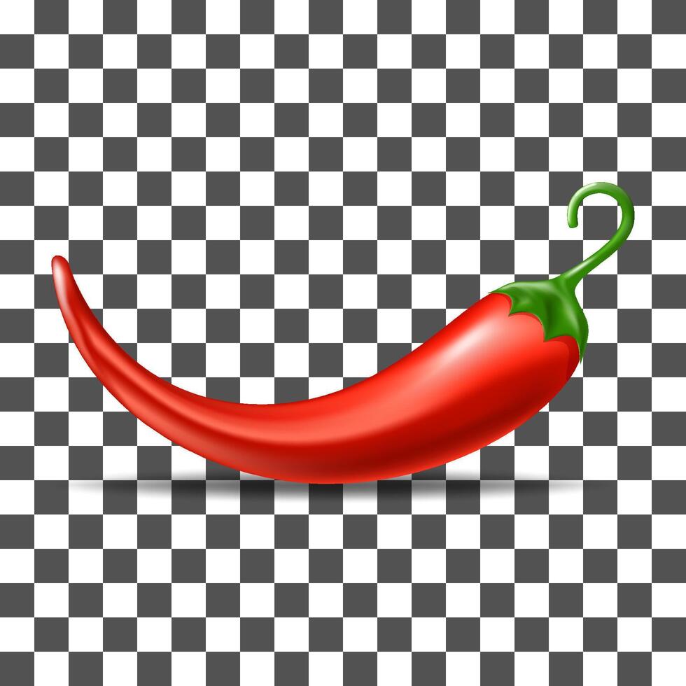 red chilli pepper icon isolated vector