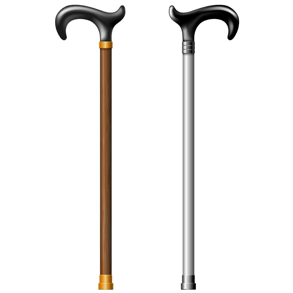 Walking sticks ill vector