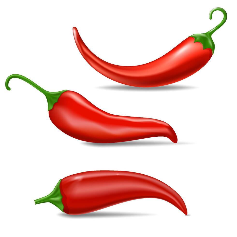 Fresh red hot chili pepper set vector
