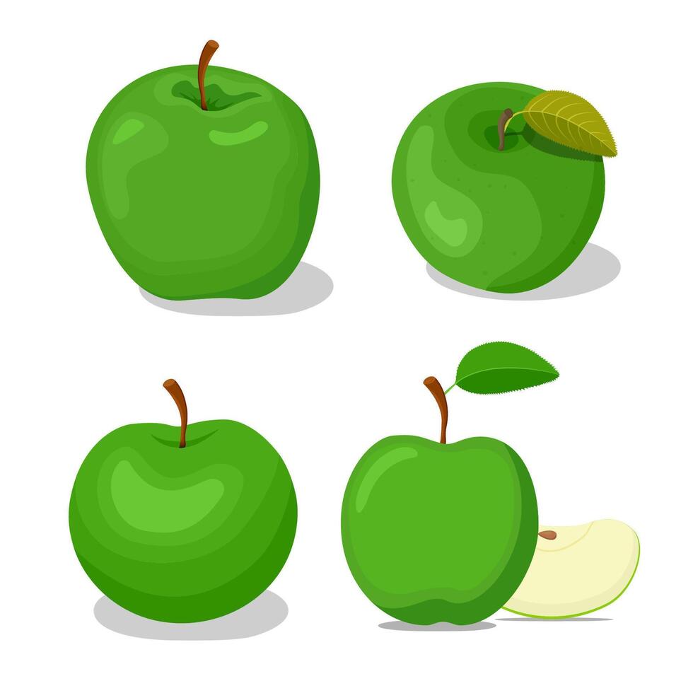 Four apples set including cut, green vector