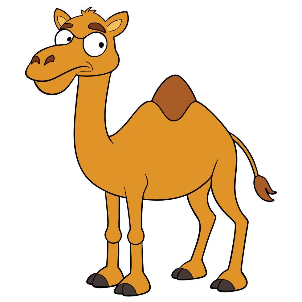 Cartoon style camel standing illustration desert animal artwork for kids vector