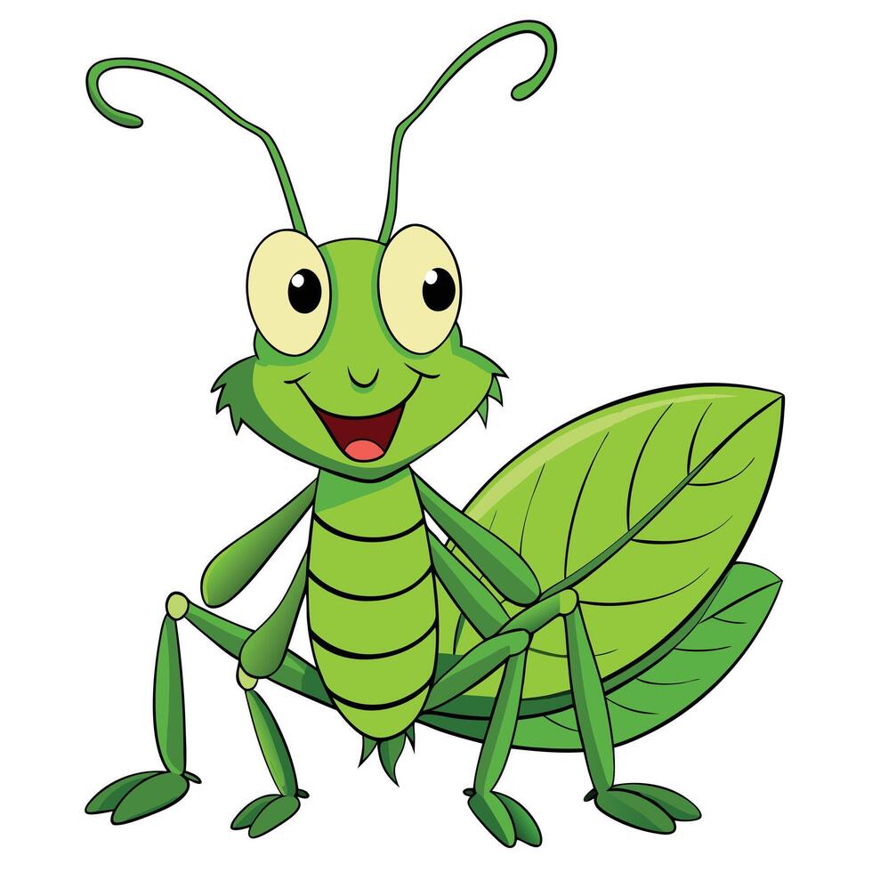 Cute green grasshopper cartoon insect illustration on white vector