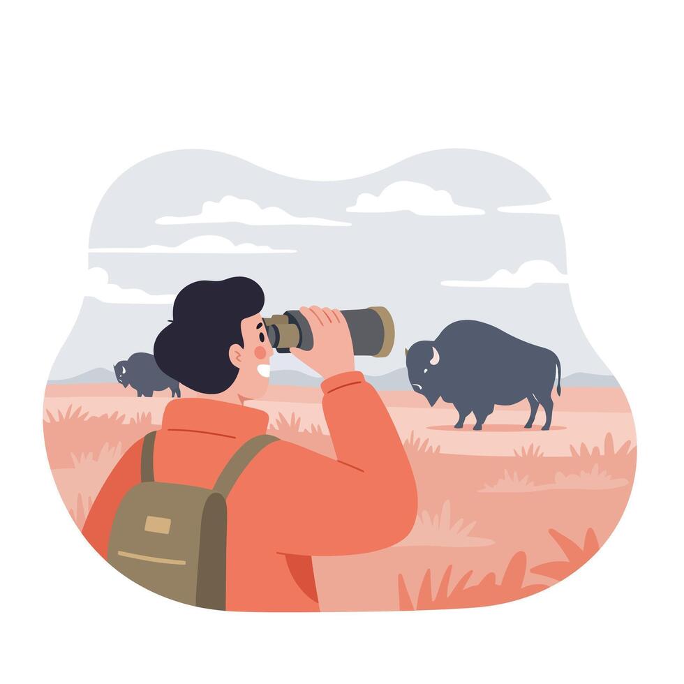 Wildlife observer using binoculars to watch bison in open grassland landscape illustration vector