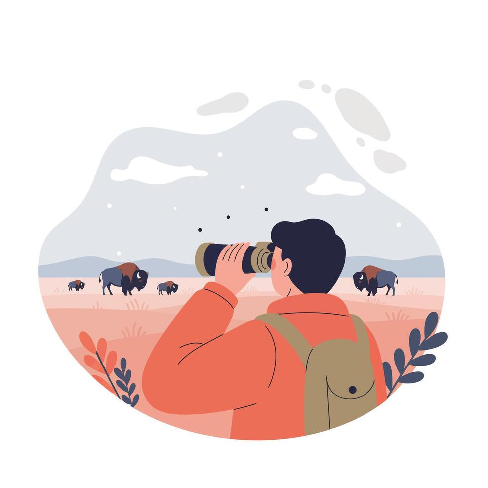 Wildlife observer watching bison herd in natural grassland landscape with binoculars illustration vector